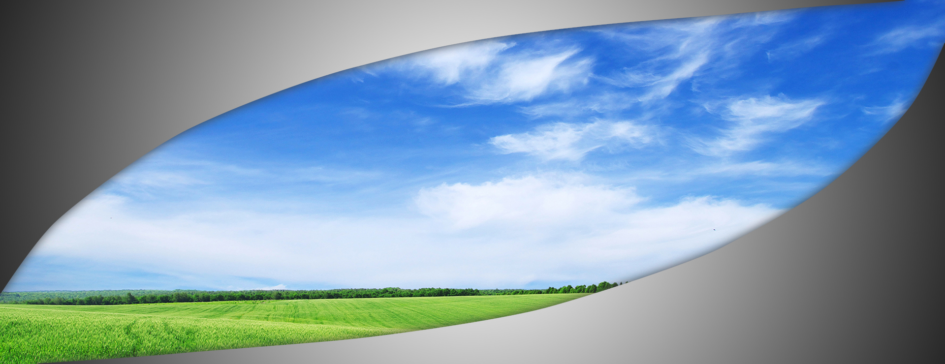 slide-background3